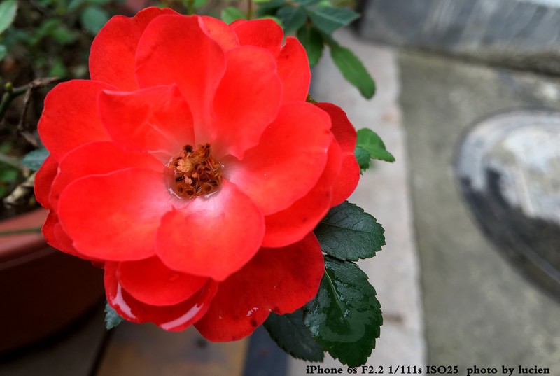 6S  布吉甘坑小镇