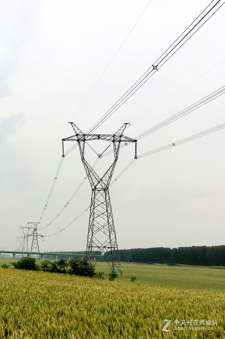 麦田     SE 随拍