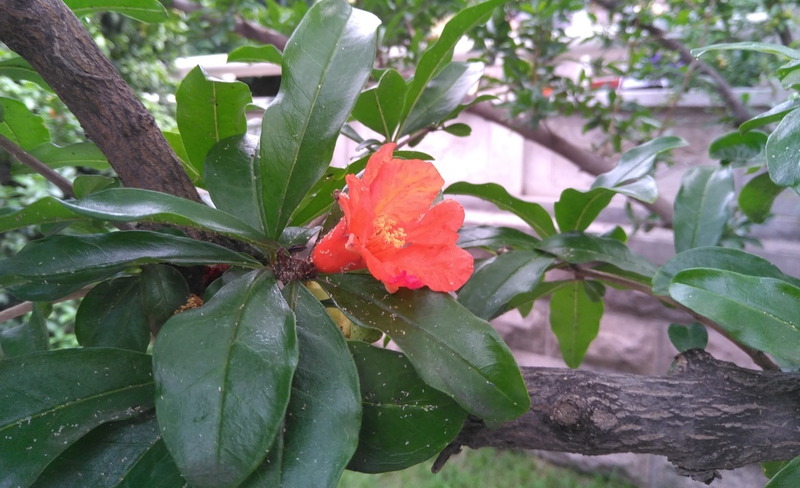 曾经小米最危险的敌人红辣椒4A体验