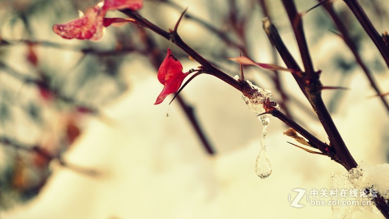 高清壁纸，好看壁纸，用一次就不想换了