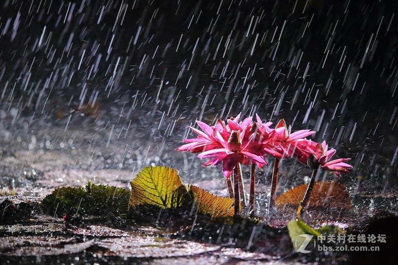 高清壁纸，好看壁纸，用一次就不想换了