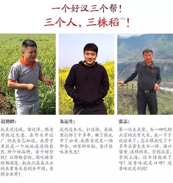 舌尖上的五常??三株稻?五常米