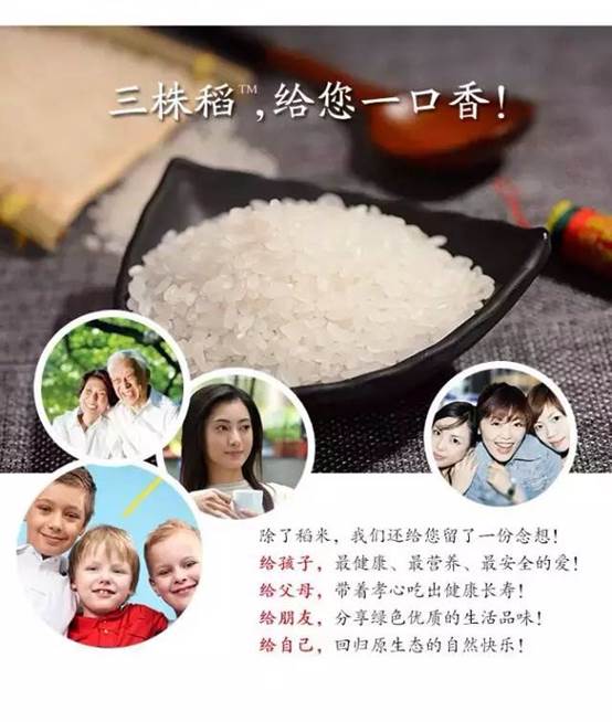 舌尖上的五常??三株稻?五常米