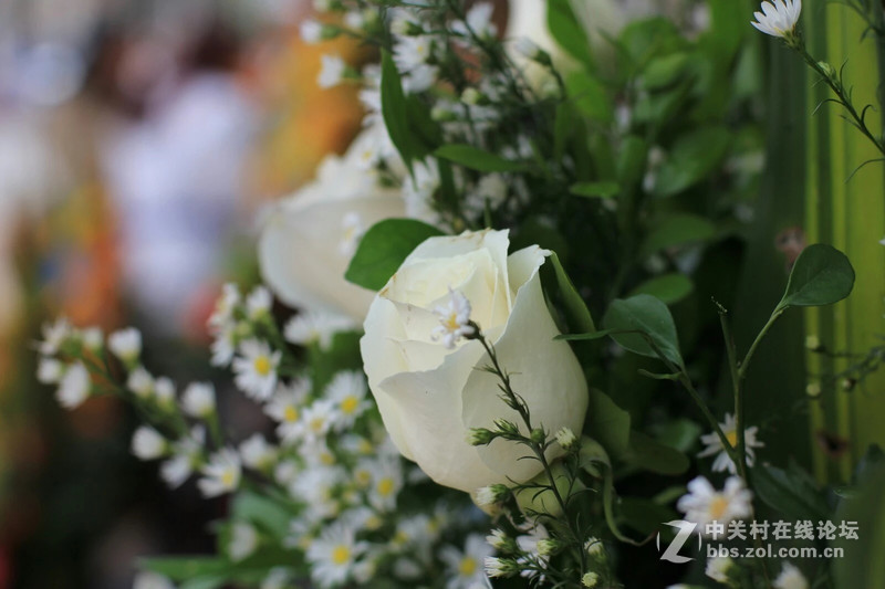 哥伦比亚-2015  新蔡司50/1.4 ZE