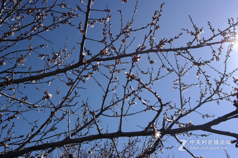 今年国庆自驾？