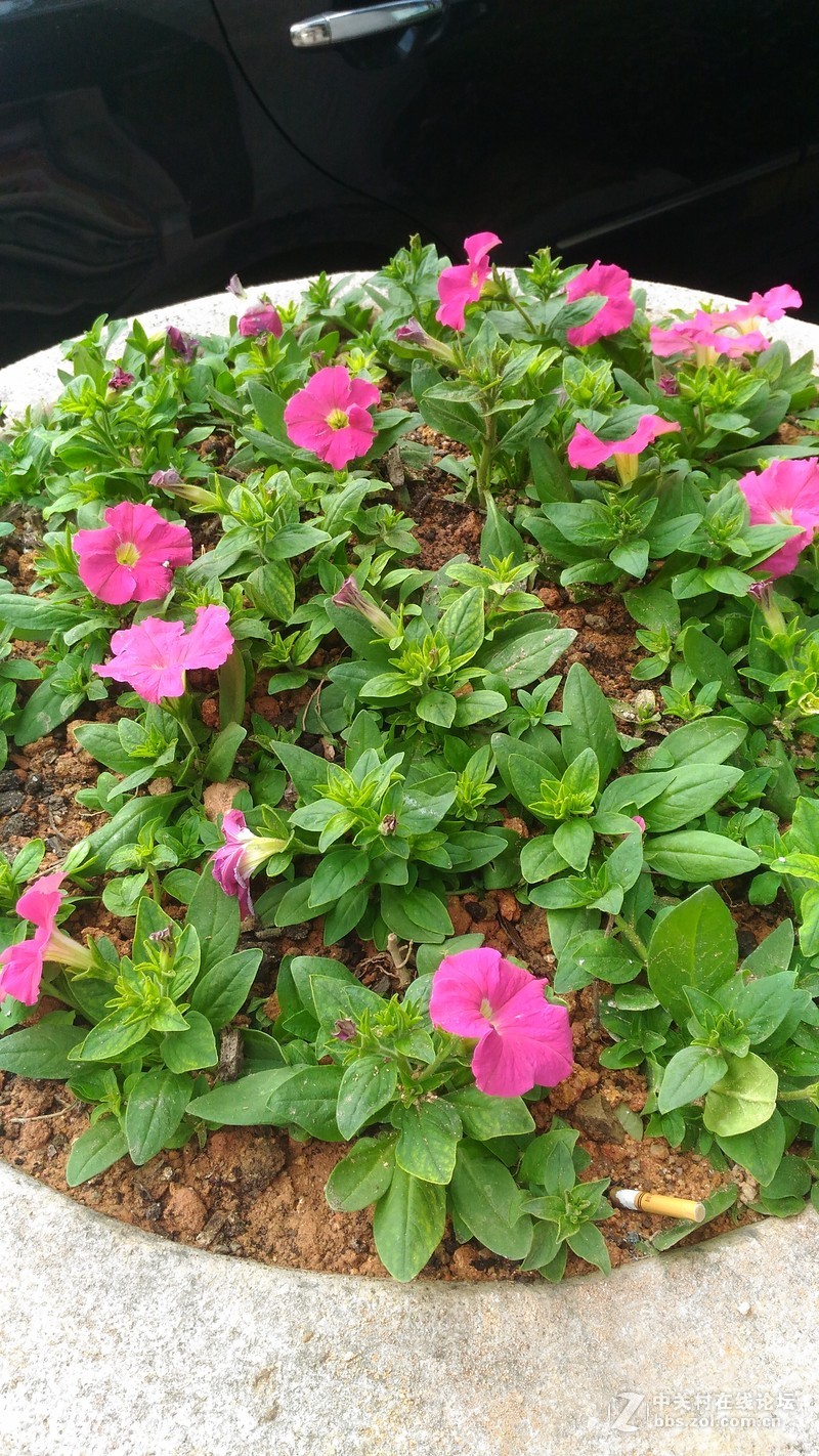 #华硕新品Zenfone Selfie神拍机#重拾你内心的美