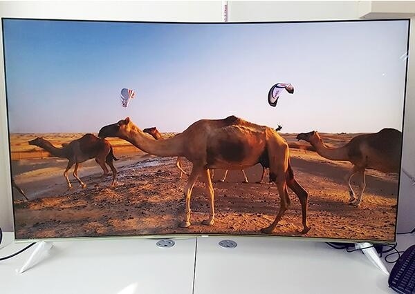 国庆旅游全靠朋友圈？用曲面电视在家度假一样精彩