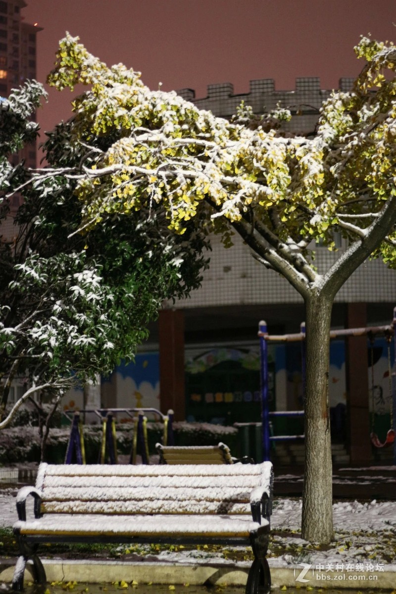 雪夜