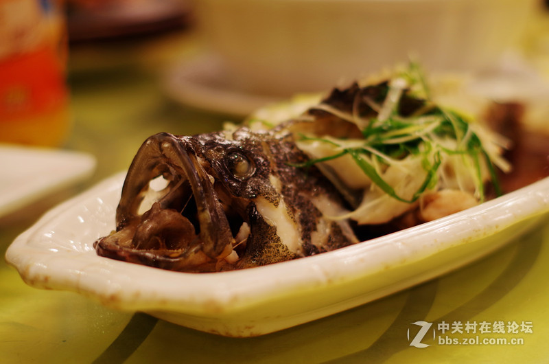 K50+DA50+厦门尾牙宴