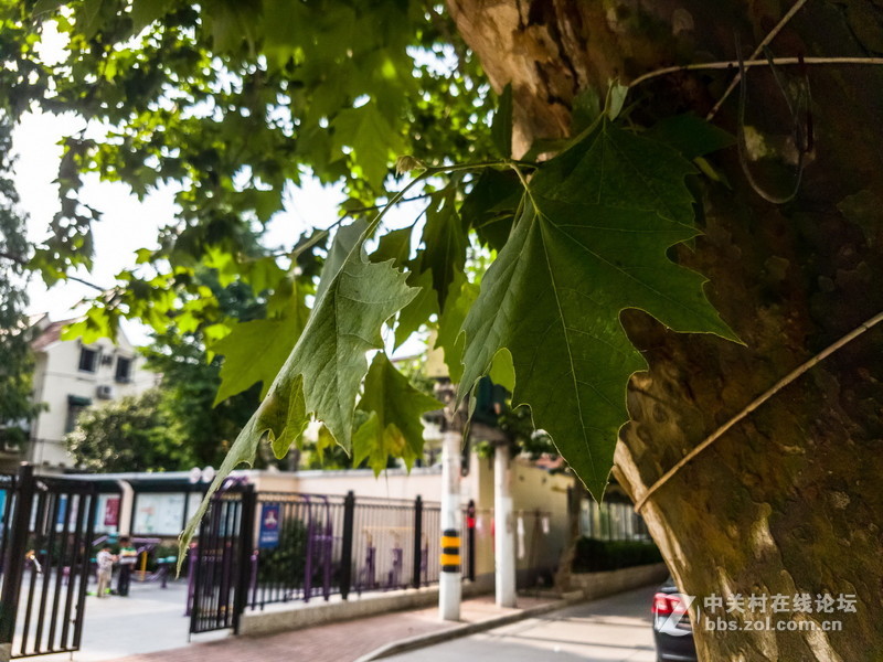 星空体育平台S7 edge JPG直出和RAW转JPG后的对比