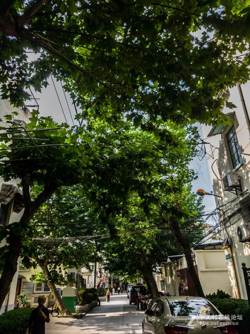 星空体育平台S7 edge JPG直出和RAW转JPG后的对比