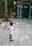 清淡的进口奶粉——我推荐启赋