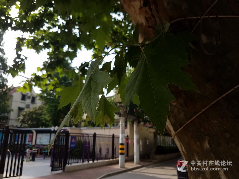 星空体育平台S7 edge JPG直出和RAW转JPG后的对比