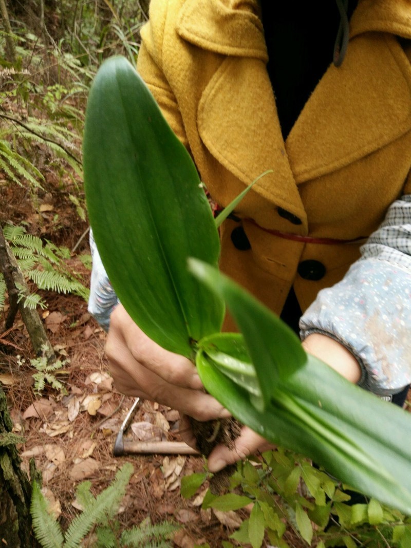 谁能告诉我