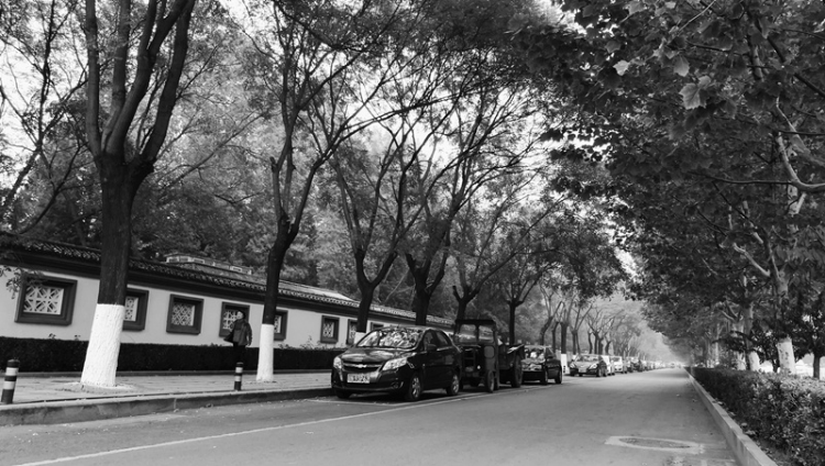 指纹双摄荣耀畅玩6X让你体验不一样的手机摄影