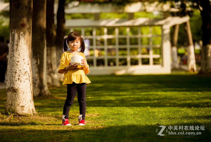 拍娃党重新拾回009