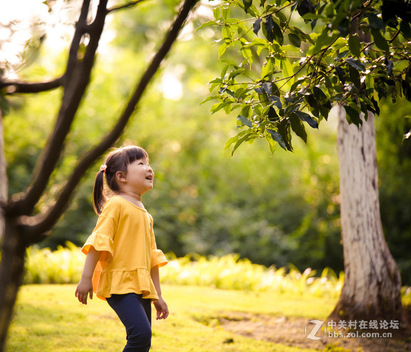 拍娃党重新拾回009