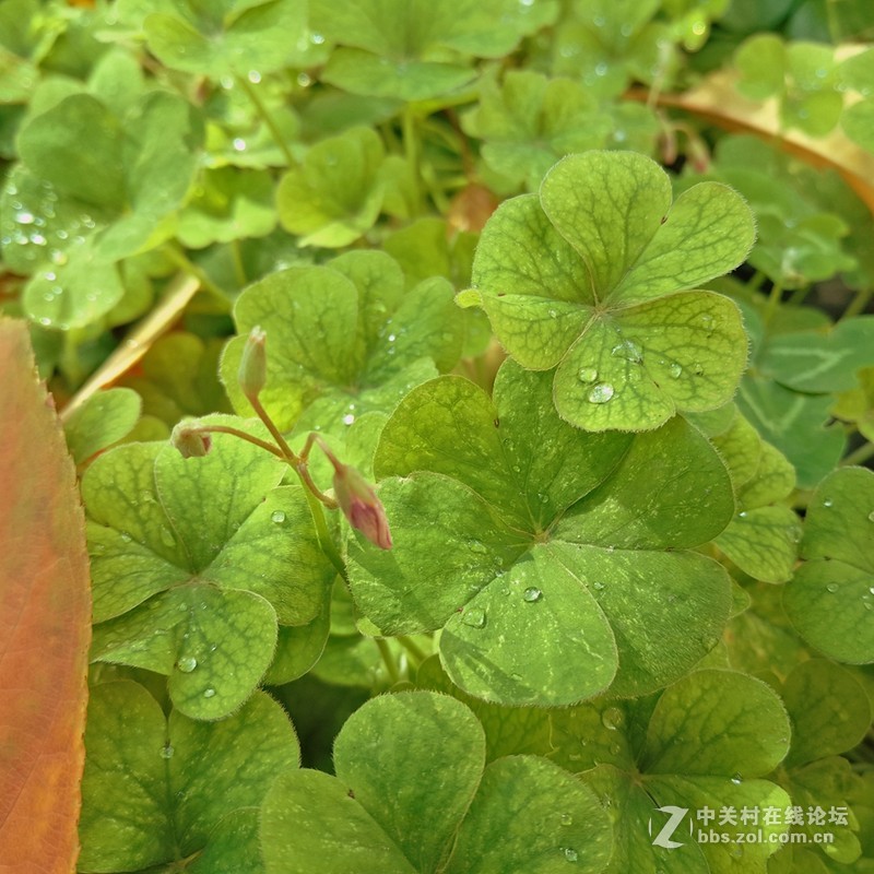 晴朗的日子，PRO5相机样张赏析