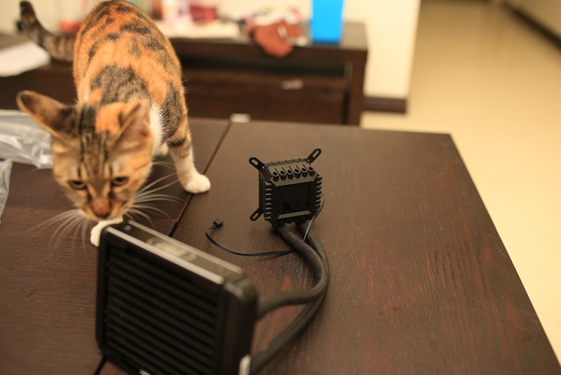 #超频三芯冻120#芯冻120的超频体验，硬件温度尽在掌握