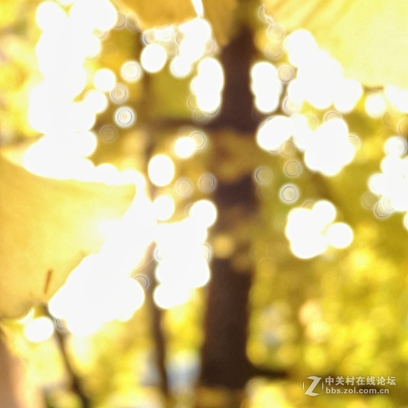 晴朗的日子，PRO5相机样张赏析