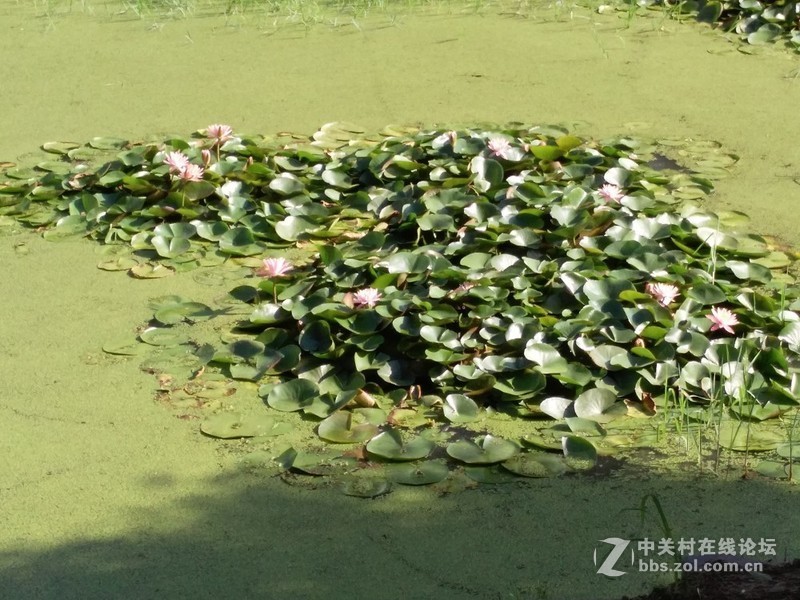 开封市 里城东街