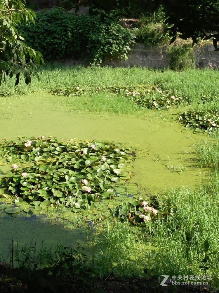 开封市 里城东街