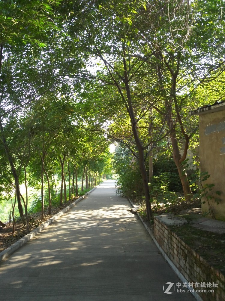 开封市 里城东街