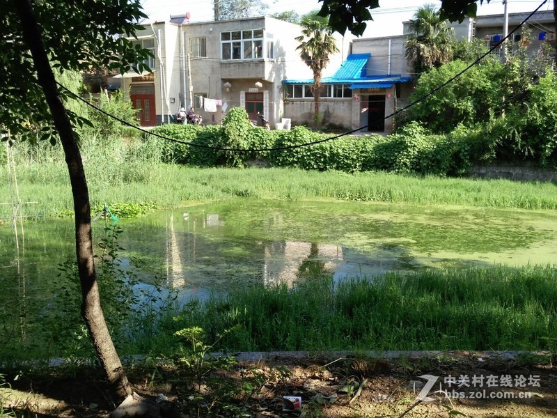 开封市 里城东街