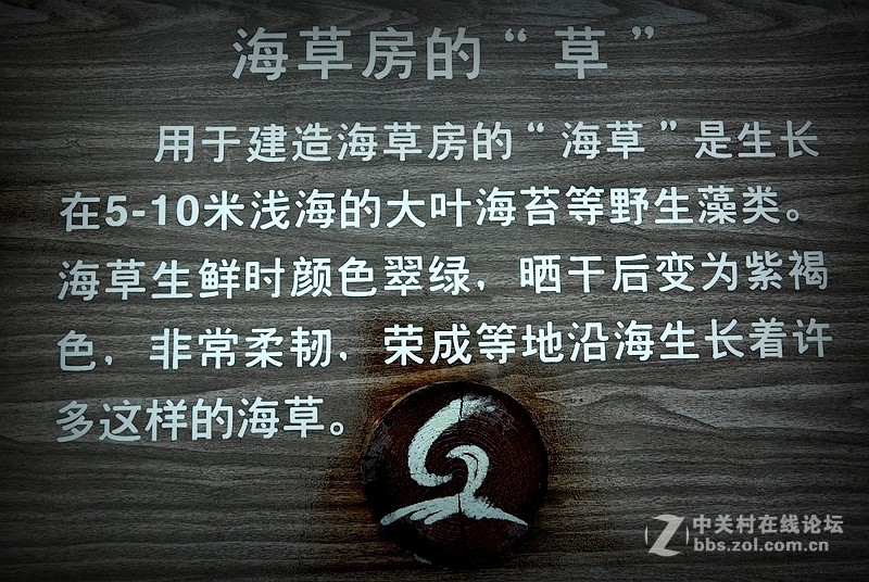 海草房