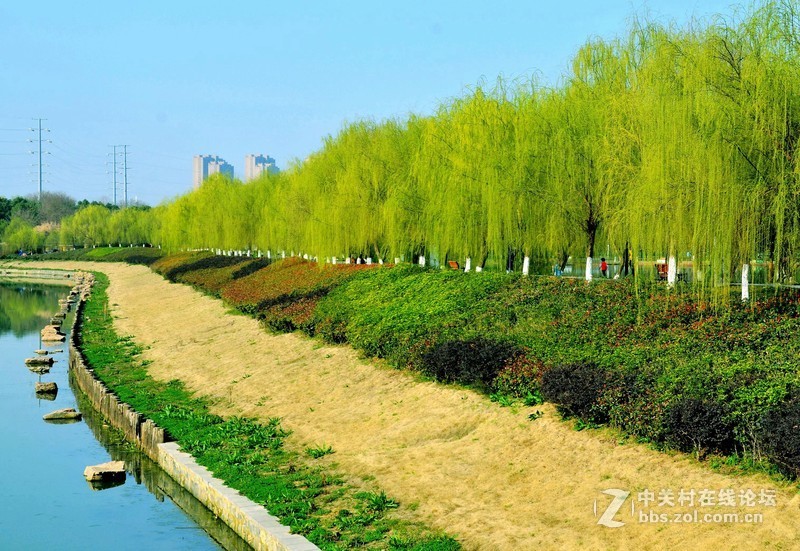 县城风景一咱家乡很美