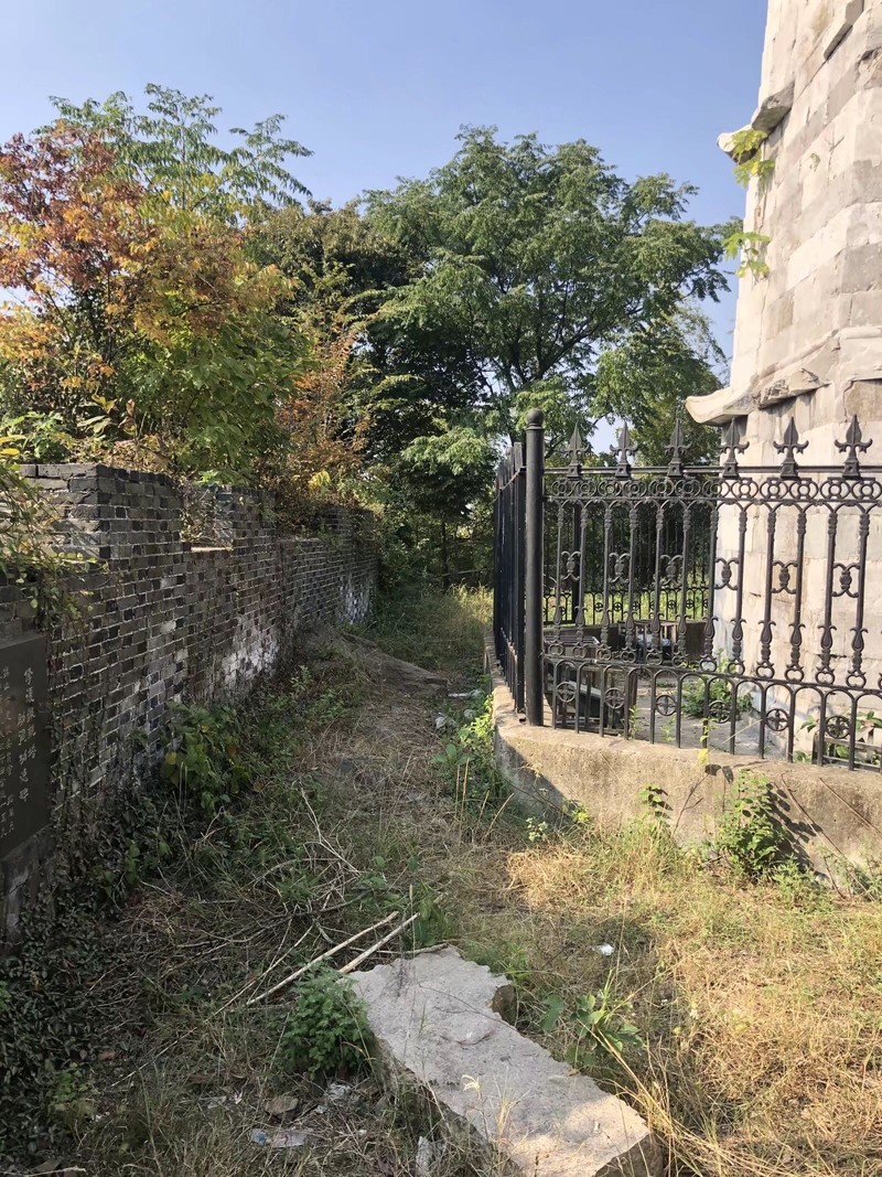 iPhonex  日常拍照样张