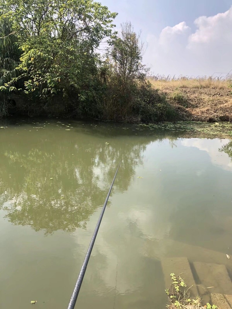 iPhonex  日常拍照样张