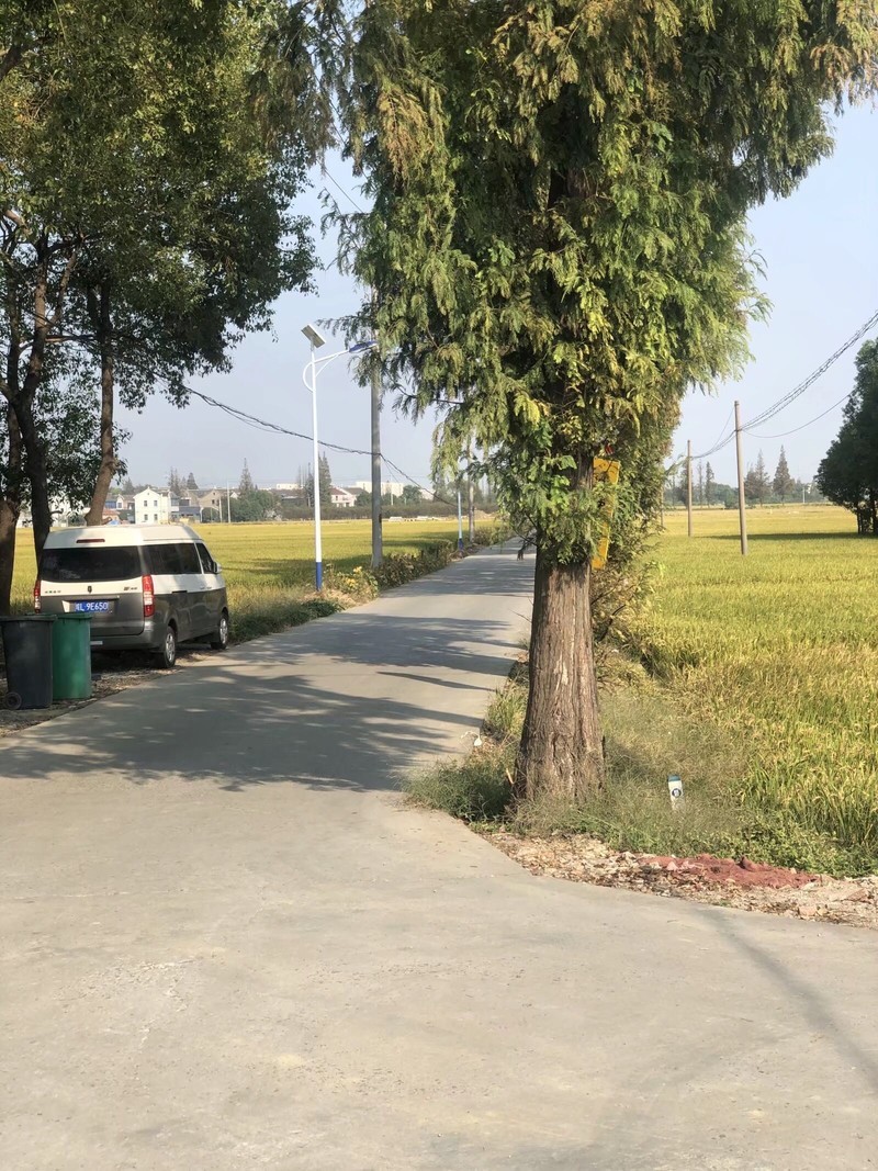 iPhonex  日常拍照样张