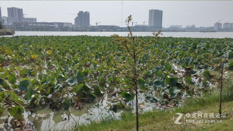 家乡的变化（国行G3拍的）