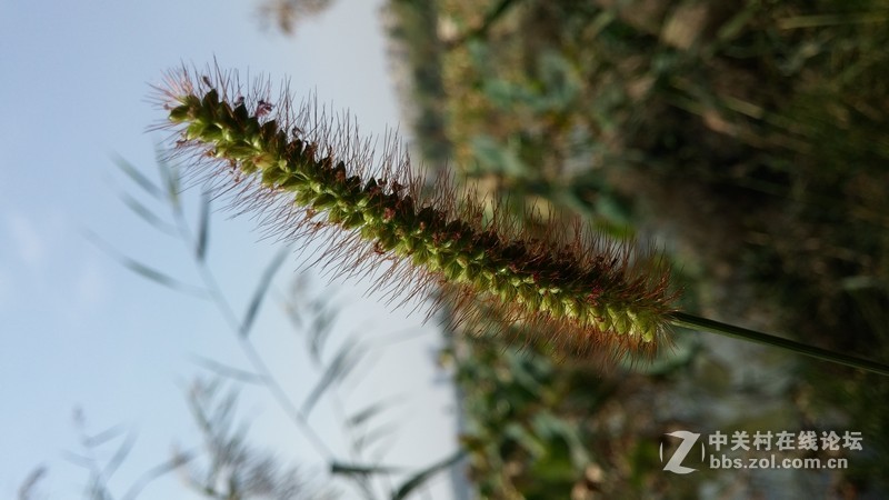 家乡的变化（国行G3拍的）