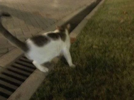 和一个不会照相的男闺蜜一起旅游是什么体验