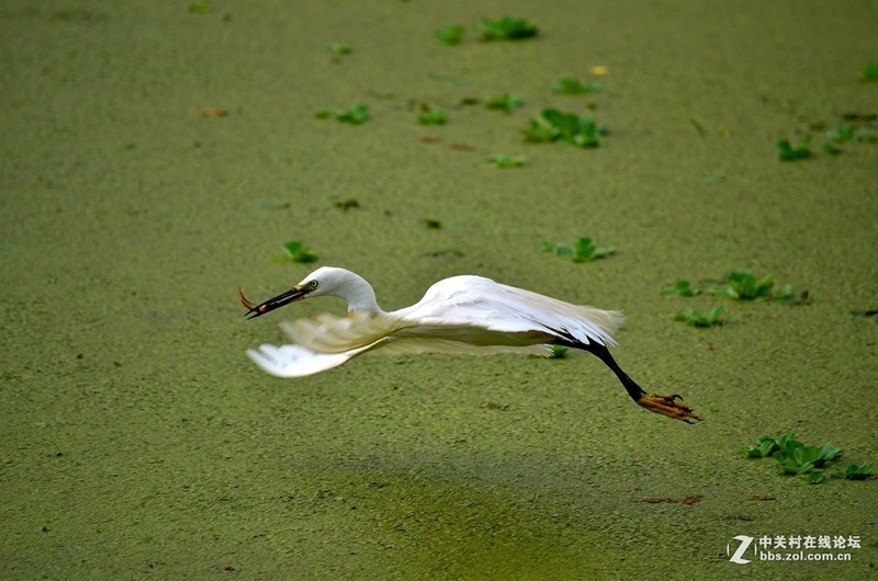 #版主坐堂# 小五星空(中国)十一月精品荟萃