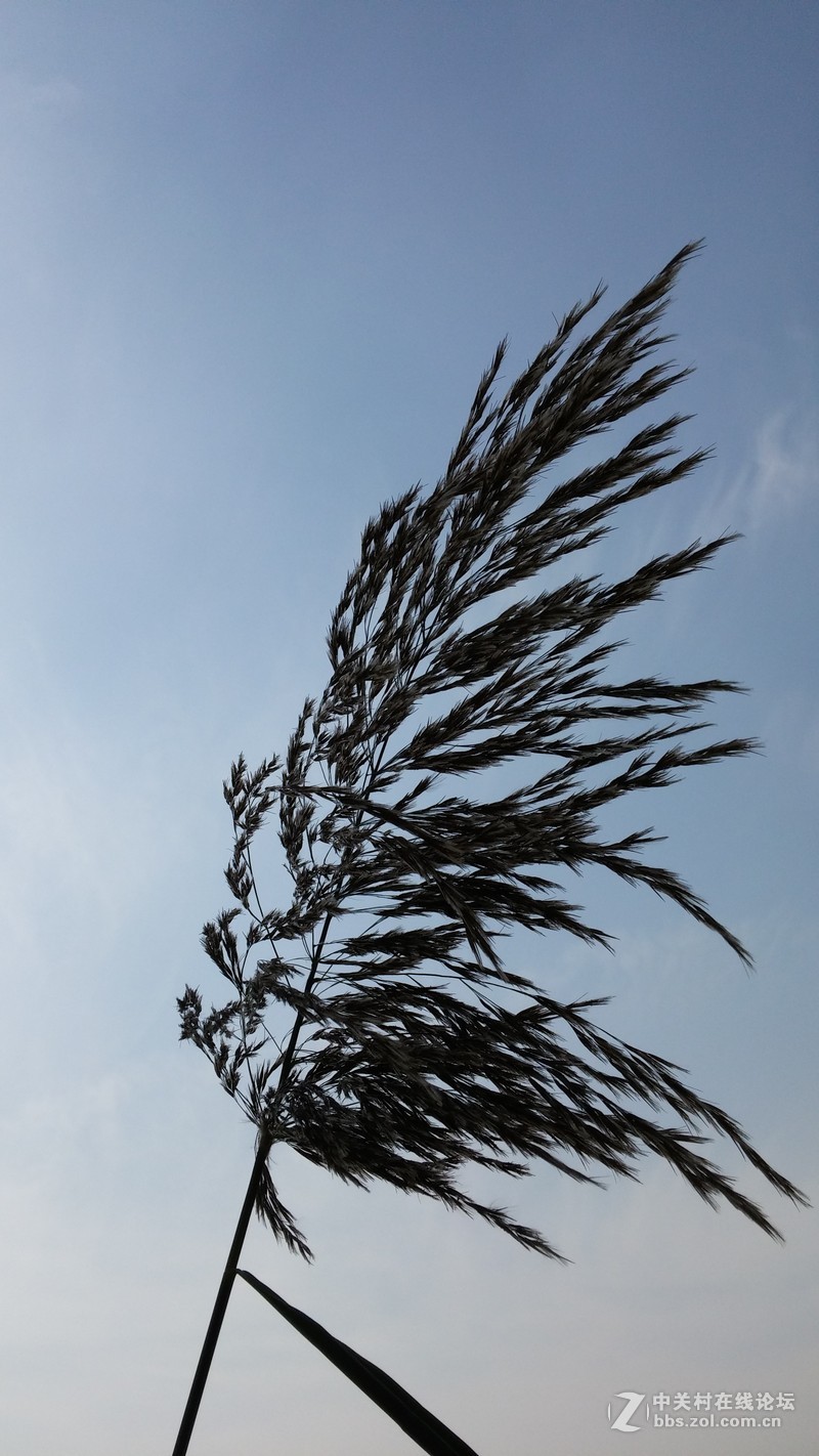 家乡的变化（国行G3拍的）