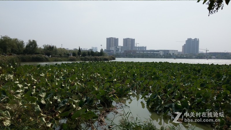 家乡的变化（国行G3拍的）