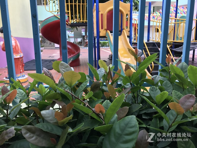 苹果7P与索尼Z1照片对比看看