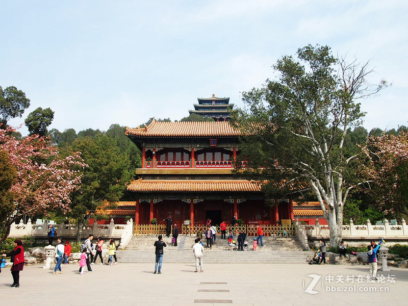 2016年北京春花灿烂