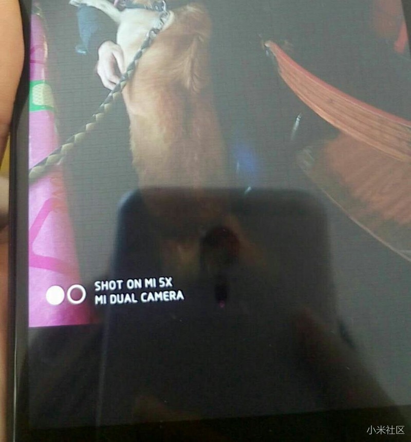 碎屏险太垃圾
