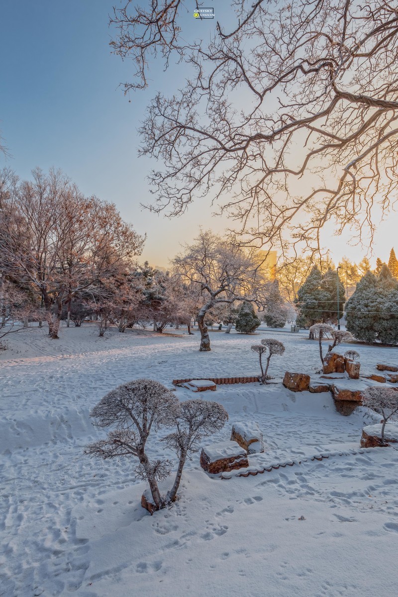 公园里的雪景图片图片