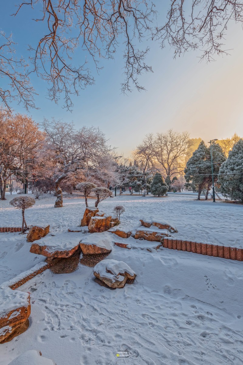 公园雪景