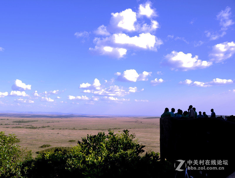 肯尼亚 纳瓦沙湖 马赛马拉草原