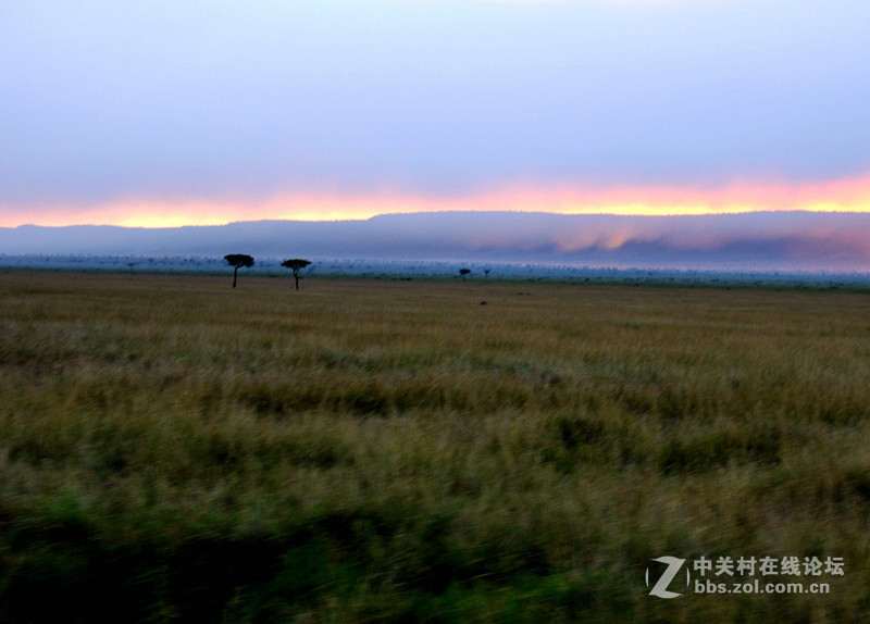 肯尼亚 纳瓦沙湖 马赛马拉草原