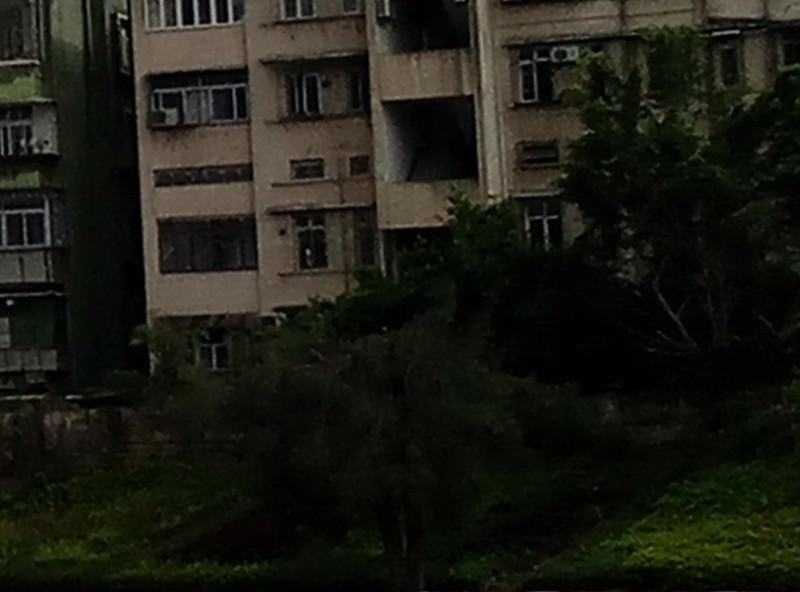 ＃给大家走了条路＃遇见●美——魅族MX6拍照体验