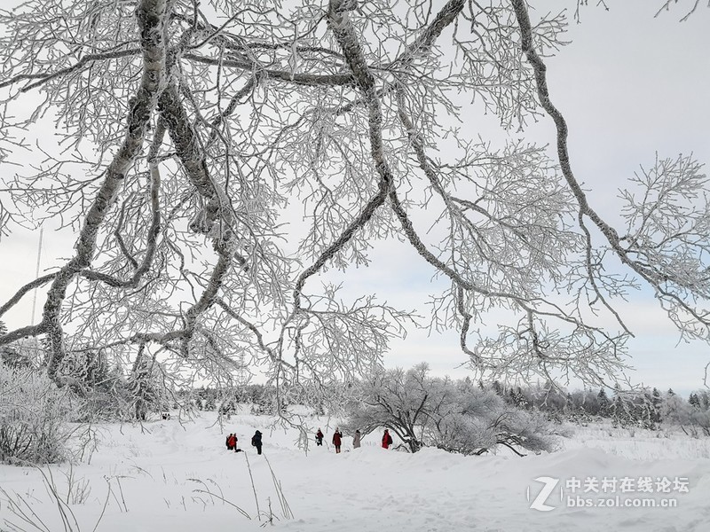 华为Mate 10+卡色Kase16mm广角手机镜头拍摄冰雪风光
