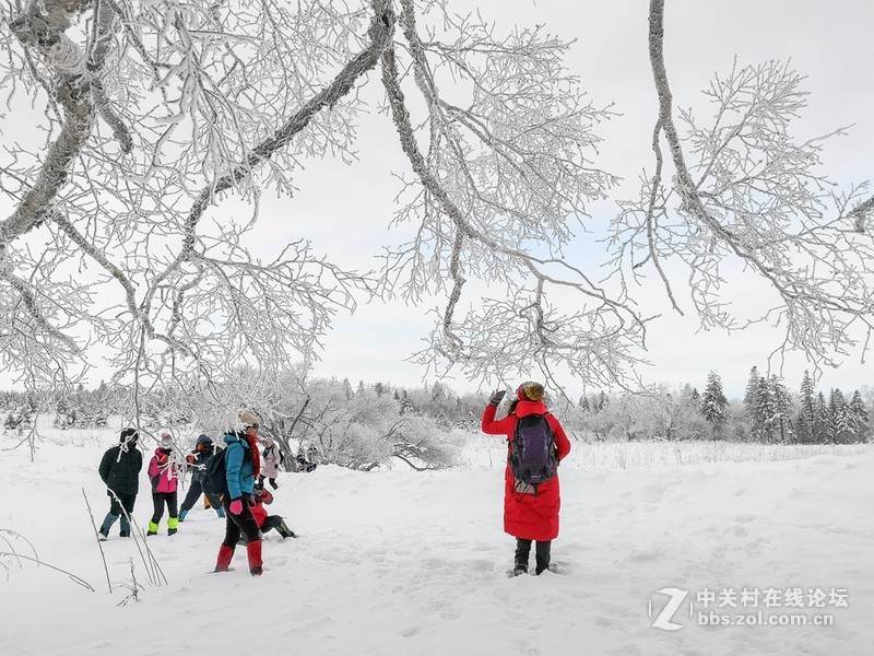 华为Mate 10+卡色Kase16mm广角手机镜头拍摄冰雪风光