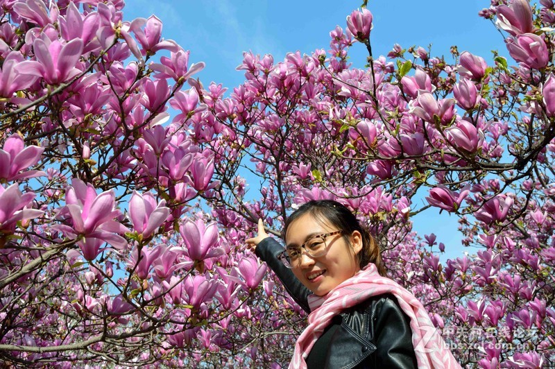 #ZOL月赛-四月物语#春光明媚